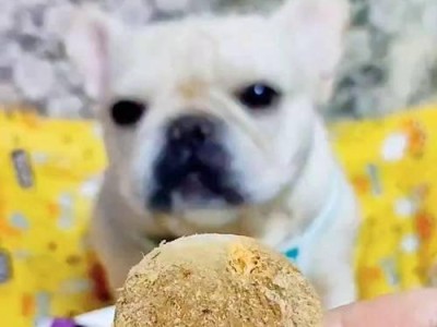 狗的饮食需求（宠物狗需要摄入生肉骨，提供全面的营养和满足天性）