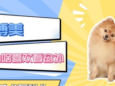 为什么招狗狗喜欢吗？（解密狗狗喜欢招呼的原因与好处）