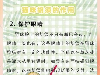 猫的胡须（揭秘猫胡须的奥秘与功能）