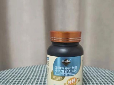 怎样正确给宠物狗狗喂钙片和维生素片（从喂养计划到注意事项，教你做好宠物狗狗的健康管理）