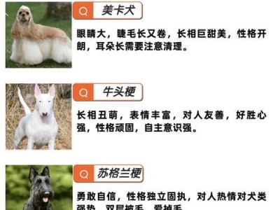 温顺可爱的狗狗如何选择适合的名字（以温顺的特点为主要考虑因素，为您提供有关起名字的建议）