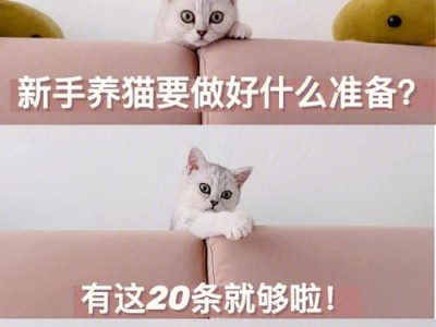 家养猫的必备条件和关怀方法（给爱猫营造幸福生活的关键要素）