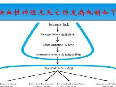 罗福梗疾病防治攻略（以宠物为主，让罗福梗不再疾患）