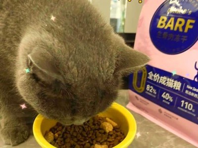 揭秘猫咪饮食的五大误区（猫咪饮食常见错误，你中了几个？）