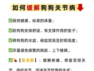 预防狗狗关节炎，让宠物健康成长！（保护狗狗的关节健康，让它们在快乐中成长。）