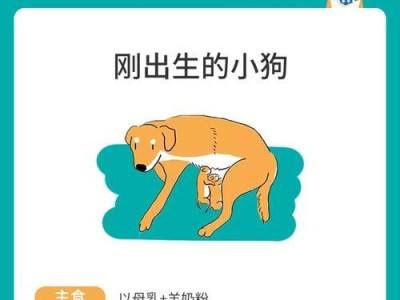 小狗成长的关注重点（培养小狗健康成长的秘诀）