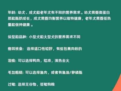 幼犬狗粮泡水的最佳时间是多久？（探索泡水时间对幼犬健康的影响）