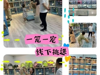 宠物店买狗的注意事项（了解宠物店买狗的必要问题）