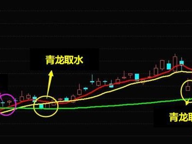 青龙鱼的饲养方法（了解青龙鱼，让它健康成长）