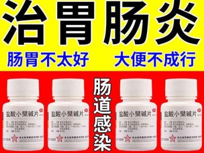 狗狗急性肠炎的治疗药物（选择合适的药物是关键）