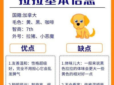 拉布拉多犬的狩猎本能与训练方法（如何培养拉布拉多犬狩猎本能，让它们发挥最佳能力）