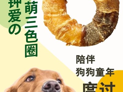 人类零食中狗狗可以吃的健康选择（探讨合适狗狗食用的人类零食和"健康"）