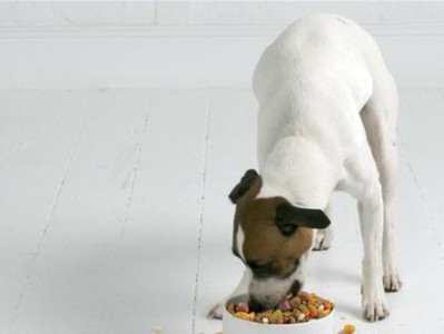 两个月大的狗狗每天该吃多少？（如何保证狗狗的健康成长？）