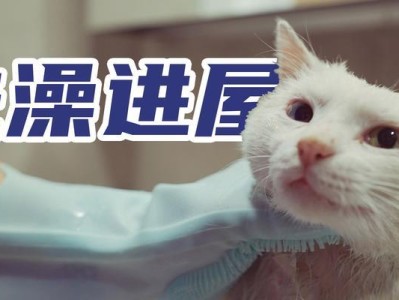 为什么不能让流浪猫进家门（探索流浪猫进家门的风险与挑战）