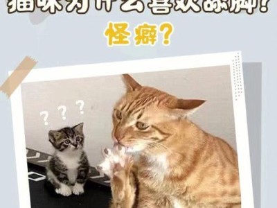 猫咪为什么一直舔爪子？（揭秘猫咪爪子上有痂的原因与解决方法）