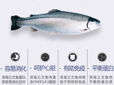 博美幼犬的健康饮食（营养均衡，从蔬菜开始）