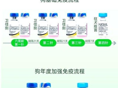 狗狗打疫苗的时间表和（了解狗狗打疫苗的最佳时间以及相关注意事项）