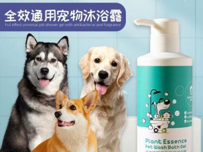 如何让你的宠物柴犬享受洗澡？（让爱犬爱上洗澡，关键在于这一点！）