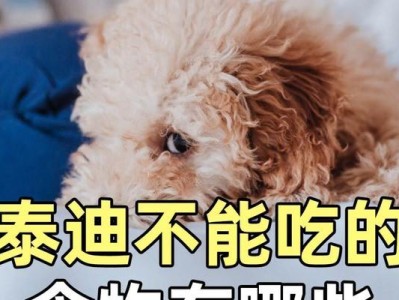 泰迪犬饮食清单（了解泰迪犬可以吃和不能吃的食物）