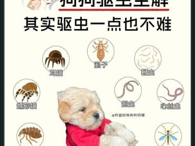 宠物狗狗的驱虫攻略（保护爱宠免受寄生虫侵袭，让狗狗健康成长）