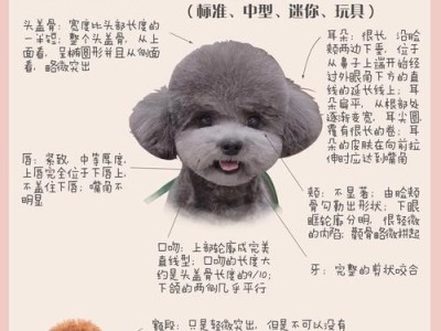 泰迪犬（揭秘泰迪犬长卷毛的时间节点和护理方法）