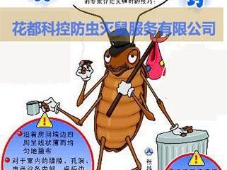 金毛胃扭转的防治措施（如何保护宠物免受金毛胃扭转的威胁）