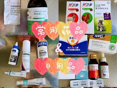 狗驱虫药的选择与使用方法（保护爱犬免受寄生虫侵害，选择正确的驱虫药是关键）