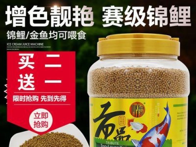 红鲫鱼喂食秘籍——合理饲养时间与频率（掌握好鱼儿肚子的钟点，助您打造健康鱼塘）