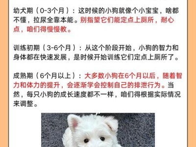 狗狗大便频率及喂食间隔的合理规划（狗狗的大便次数与喂食周期的关系探究）