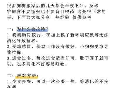 狗呕吐后多久能进食的科学答案（揭秘狗犬恢复正常饮食的时间与注意事项）