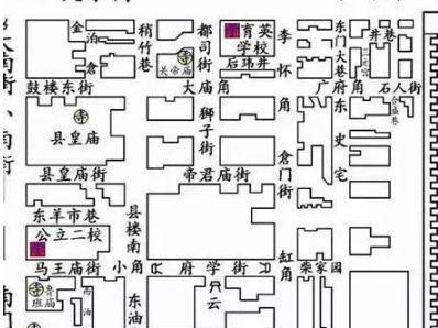 以棋盘鲫为宠物的饲养方法（打造舒适的生活环境，保证棋盘鲫健康成长）