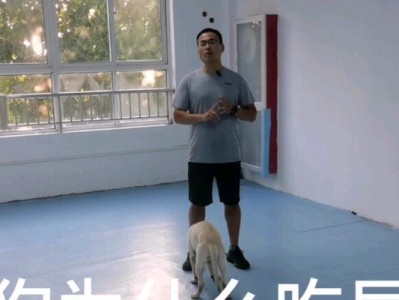 探究狗狗为何会吃粑粑（揭秘狗狗吃粑粑的原因与解决方法）