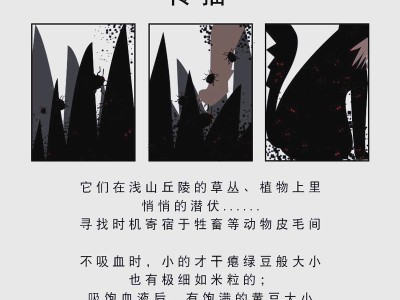 金毛狗的虫体清理频率及注意事项（探讨金毛狗身上虫体清理的最佳周期，以及预防虫体滋生的关键）