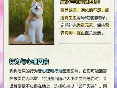 狗吃了鸟，如何应对？（保护鸟类及防止类似事件发生的关键方法）