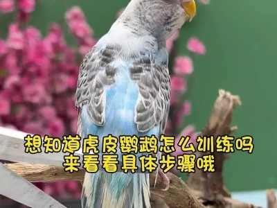 虎皮鹦鹉为什么咬？（探究虎皮鹦鹉咬人的原因和解决方法）