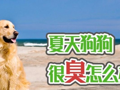 夏日狗狗散热攻略（宠物主人必看，打造舒适夏季生活）