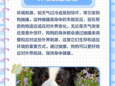 三个月的狗狗抽搐的原因及解决方法（探究三个月狗狗抽搐的成因与治疗）