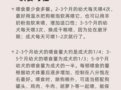 美国斗牛犬的饮食需求（关注宠物狗的健康饮食，让你的美国斗牛犬健康成长）