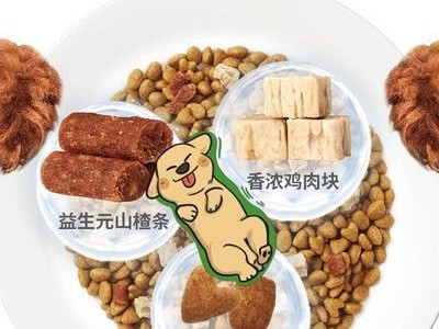 四个月哈士奇的饮食需求（了解四个月哈士奇的饮食需求及合适的狗粮选择）