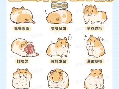 仓鼠宝宝的照顾与饲养指南（从仓鼠生宝宝到成年仓鼠，做个贴心宠物主人）