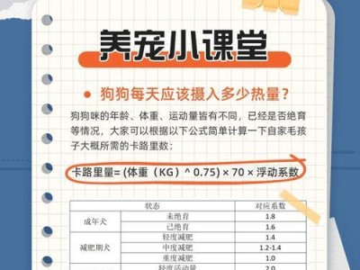 合理喂食狗狗的注意事项（一天喂食次数和注意事项）
