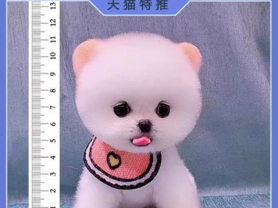 “无论长大与否，这些狗狗都是最听话的宠物”（拥有一只永远不长大的听话狗狗，是每个家庭的梦想）