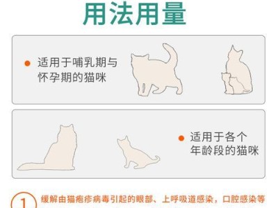 猫感冒的治疗费用及家庭自行处理方法（了解猫感冒治疗费用和自我护理的重要性）