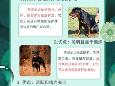 罗威纳刚生完小狗，如何科学喂养（了解合适的饮食，确保母狗和幼犬的健康）