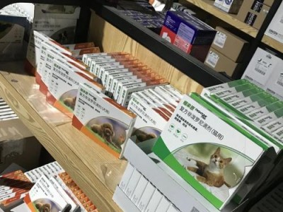 以滴完福来恩多久可以抚摸宠物的秘诀（滴完福来恩的关键和适用宠物种类）