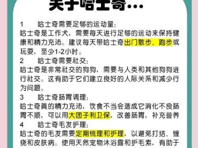 如何训练你的哈士奇说“不”（掌握这些技巧，让你的哈士奇变得更听话）