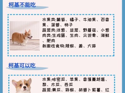 柯基增肥秘籍（揭秘柯基膳食与增重方法，让你的宠物柯基健康胖起来）