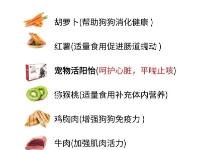 如何科学地以3个月的时间喂养金毛宝宝（科学喂养金毛宝宝的关键方法和注意事项）