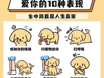 狗狗打呼噜的原因及应对方法（探究狗狗打呼噜的各种声音和解决办法）
