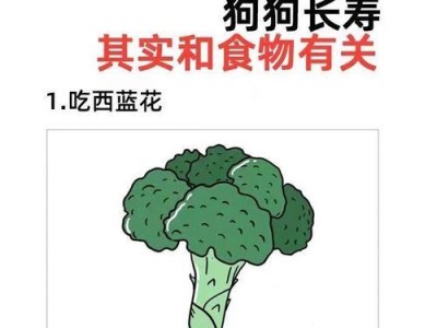 宠爱狗狗，避开这6件事，助其长寿（揭秘长寿狗狗的4个特征，让你的爱宠健康到老）